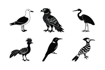 many kinds exotic birds silhouette vector illustration