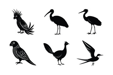 Obraz premium many kinds exotic birds silhouette vector illustration