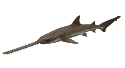 Ocean Apex: Photorealistic Great White Shark in Menacing Detail