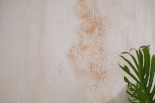 View of the wall which suffered from rainy season and water leakage. There is mold and mildew on the white wall yellow stains and streaks. Need repairs. Inflated bubbles from moisture on the surface.