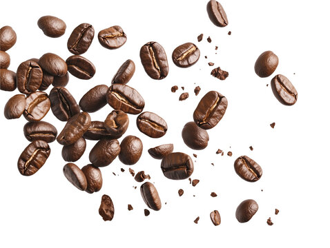 Falling roasted coffee beans isolated on transparent background