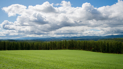 北海道東神楽町から見える夏の風景