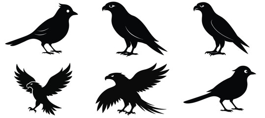 Fototapeta premium set of silhouettes of birds