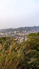 Obraz premium Shot of Guwahati city in Assam from top of Gandhi Mandap with more trees in the foreground vertical photo 1