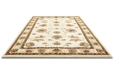 Cream patterned rug, isolated on white background.  Possible use interior design