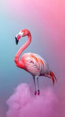 Fototapeta premium Elegant Flamingo in Pastel Cloud High Resolution Wildlife Photography