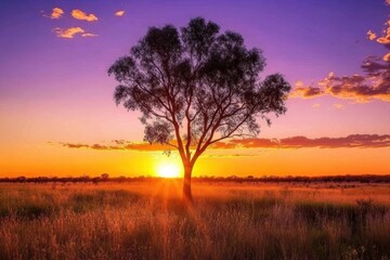 Fototapeta premium Dramatic sunset over a lone tree in a rural landscape with warm golden hues merging into twilight