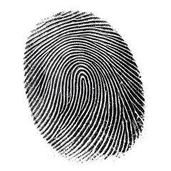 Single human fingerprint in black ink on a transparent or white PNG background.