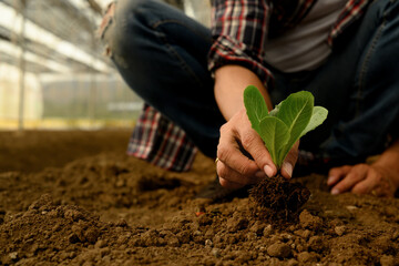 Farmer planting young seedling in fertile soil. Growth, sustainability, and eco-friendly...