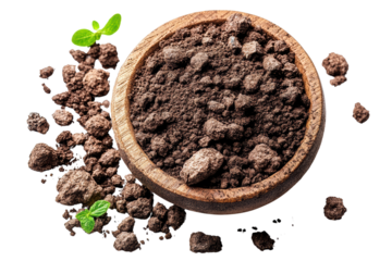 Fresh soil with green sprouts in a wooden bowl, isolated on white background.