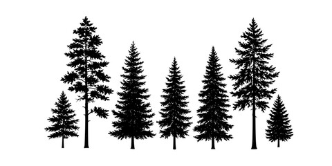 Fototapeta premium Pine tree silhouettes. Evergreen forest firs and spruces black shapes, wild nature trees templates. Vector illustration woodland trees set on white background
