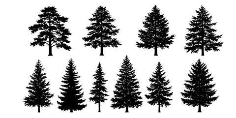 Obraz premium Pine tree silhouettes. Evergreen forest firs and spruces black shapes, wild nature trees templates. Vector illustration woodland trees set on white background