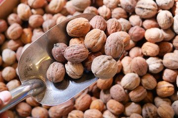 Selecting fresh walnuts at a farmers market in the autumn season