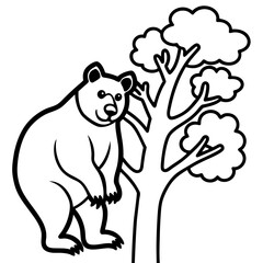 bear on a tree
