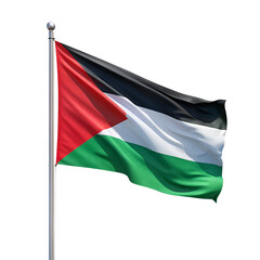 Obraz premium A PNG Palestine Flag