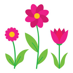 Simple Flowers Pink Daisy, Dark Pink Daisy, and Pink Tulip Illustration