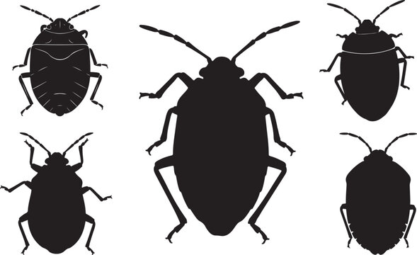 Spittlebug Silhouette