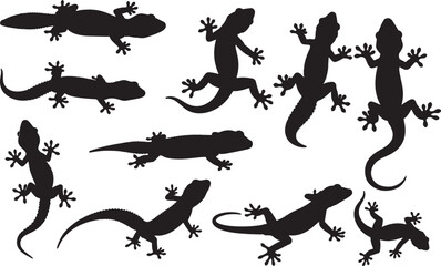 Tokay Gecko Silhouettes on White Background