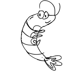 Shrimp