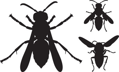 Yellowjacket Silhouette
