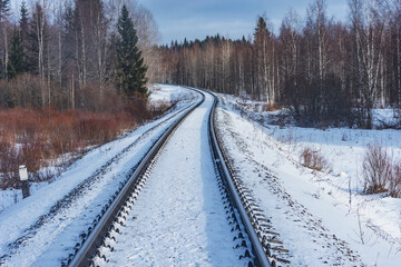 Railway track in the forest.