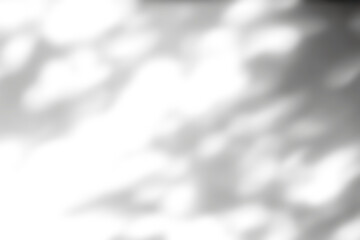 Overlay effects of realistic branches and leaves shadows isolated on transparent background