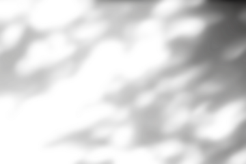 Overlay effects of realistic branches and leaves shadows isolated on transparent background