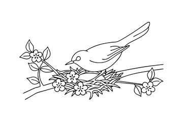Bird Nest Spring Blossoms Branch Outline Drawing Illustration