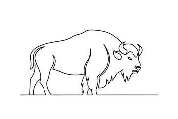 American Bison Line Art Drawing, Single Line Illustration, Wildlife Sketch