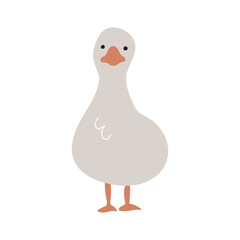 正面を向いたアヒルの手描きイラスト