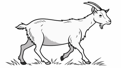 Fototapeta premium Goat Vector Illustration – Farm Animal Outline Drawing, Livestock Clipart, Agriculture, Ranch, Minimalist Line Art, Black & White Sketch for Educational Use