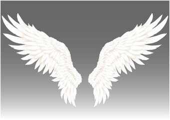 ベクター　白い翼　天使　白鳥　鳥　羽ばたくイメージ　背景削除可能