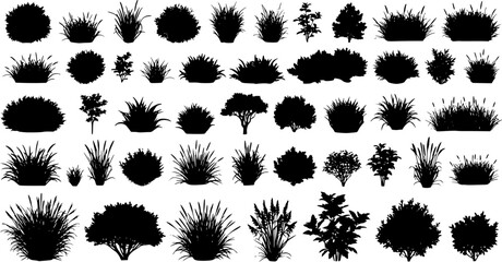 set of bush grass shrub herb silhouette vector transparent background 