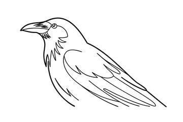 Line Art Drawing of a Raven Bird, Black, Feather, Profile, Wildlife, Nature, Sketch, Illustration, C