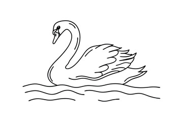 Elegant White Swan Gracefully Swimming on Calm Water