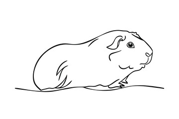 Adorable Guinea Pig Line Drawing Pet, Animal, Rodent, Illustration