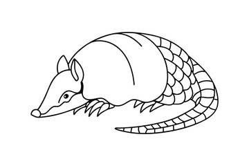 Line art drawing of a ninebanded armadillo, wildlife illustration