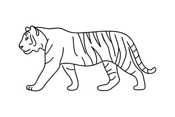 Striped Tiger Walking, Line Art, Wild Cat, Animal Drawing, Black and White