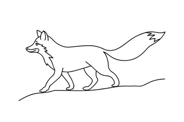 Line drawing of a walking fox, wild animal, nature illustration