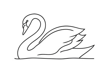 Elegant White Swan Line Art Drawing, Bird Illustration, Graceful Aquatic Creature