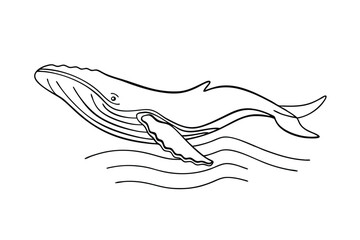 Elegant Line Art Drawing of a Humpback Whale in Ocean Waves