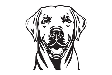 Labrador dog Black and White Vector