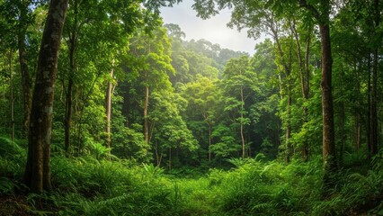 Obraz premium A serene forest scene filled with lush greenery and soft sunlight.