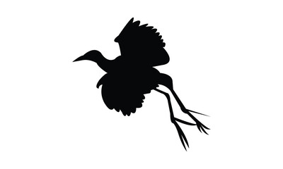 Flying African jacana bird Silhouette Design  And Vector Illustration. 