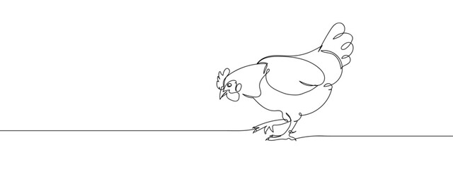 Continuous line Chicken Hen with transparent background editable stroke.