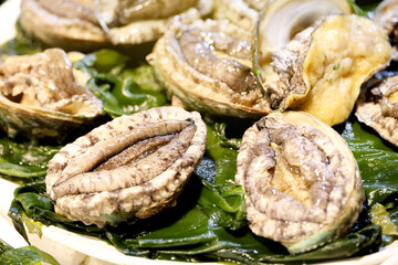 한국의 수산시장 가판대에 진열된 전복