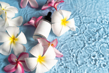 Moisturizing serum surrounded by fresh plumeria blooms creates a serene spa atmosphere.