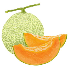 赤肉のマスクメロン1玉とのカット2切れのイラスト素材