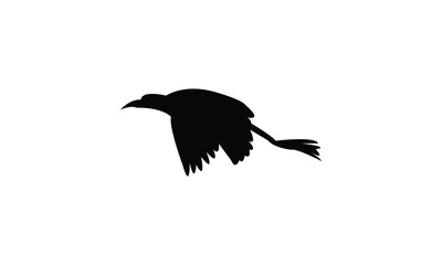 Flying African jacana bird Silhouette Design  And Vector Illustration. 