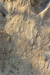 Close-up texture of natural sandy surface with subtle shadows and light